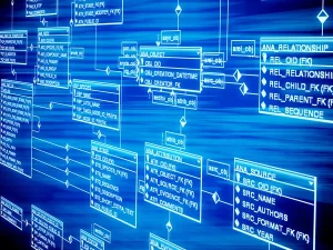 Base de Datos